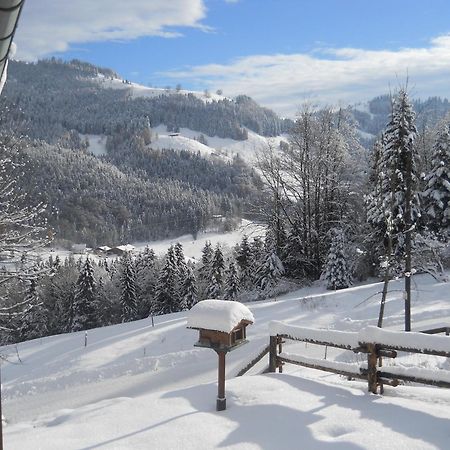 Chalet In Niederndorf Near Kufstein With Balcony Niederndorferberg Eksteriør billede