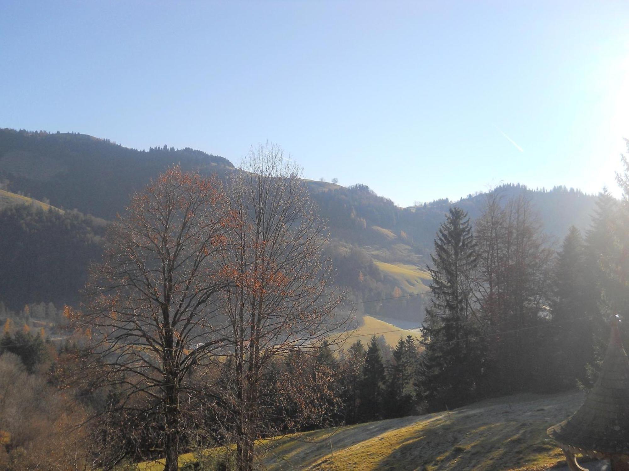 Chalet In Niederndorf Near Kufstein With Balcony Niederndorferberg Eksteriør billede