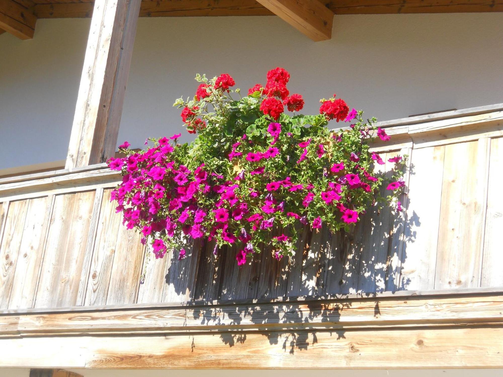 Chalet In Niederndorf Near Kufstein With Balcony Niederndorferberg Eksteriør billede